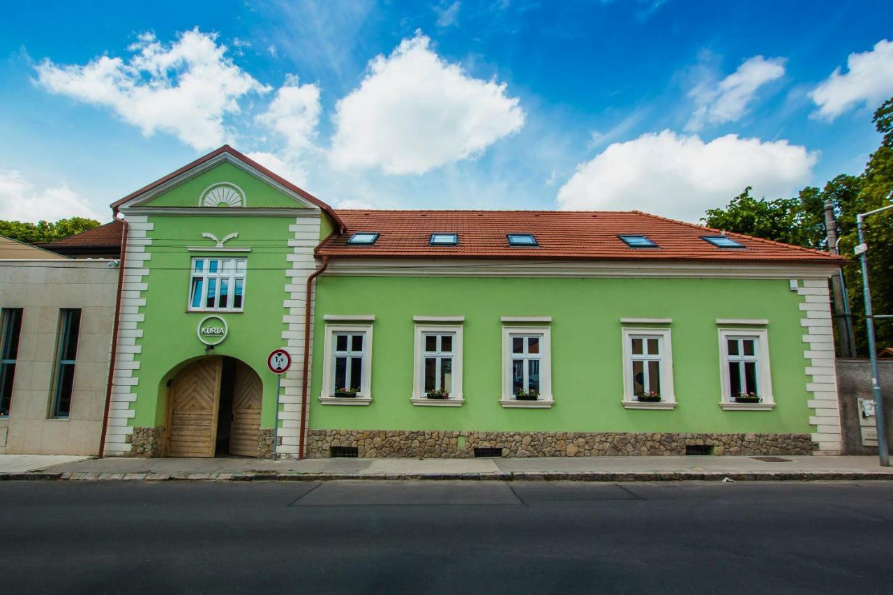 Penzion Kuria Nové Mesto nad Váhom المظهر الخارجي الصورة